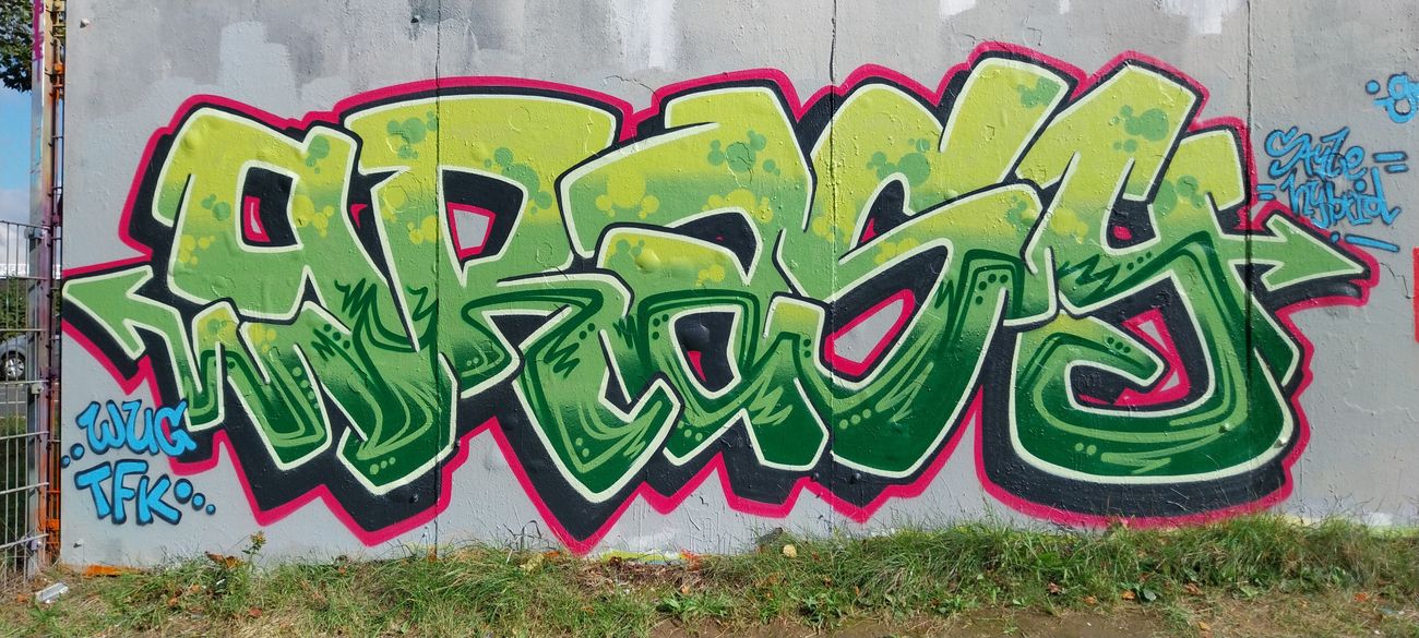 Photo #246516 by Meckes