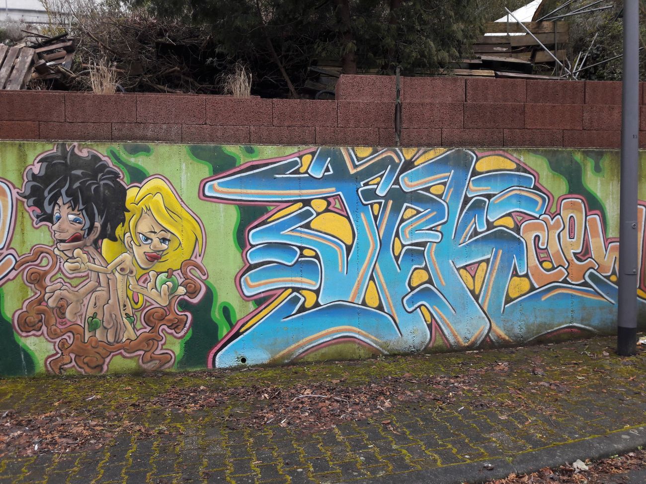 Photo #230378 by Meckes