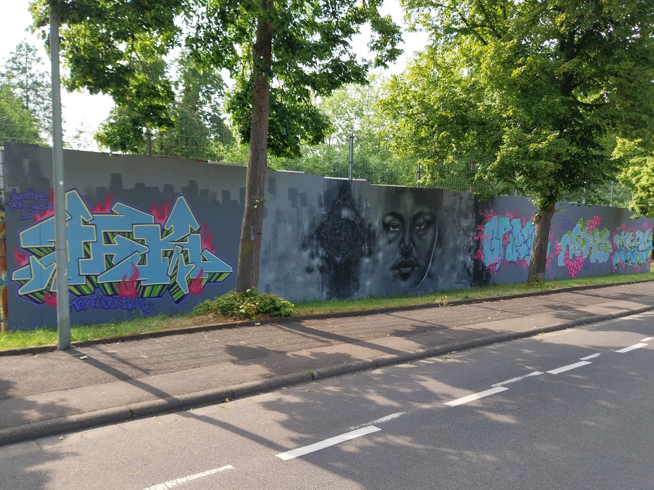 Photo #245552 by Meckes