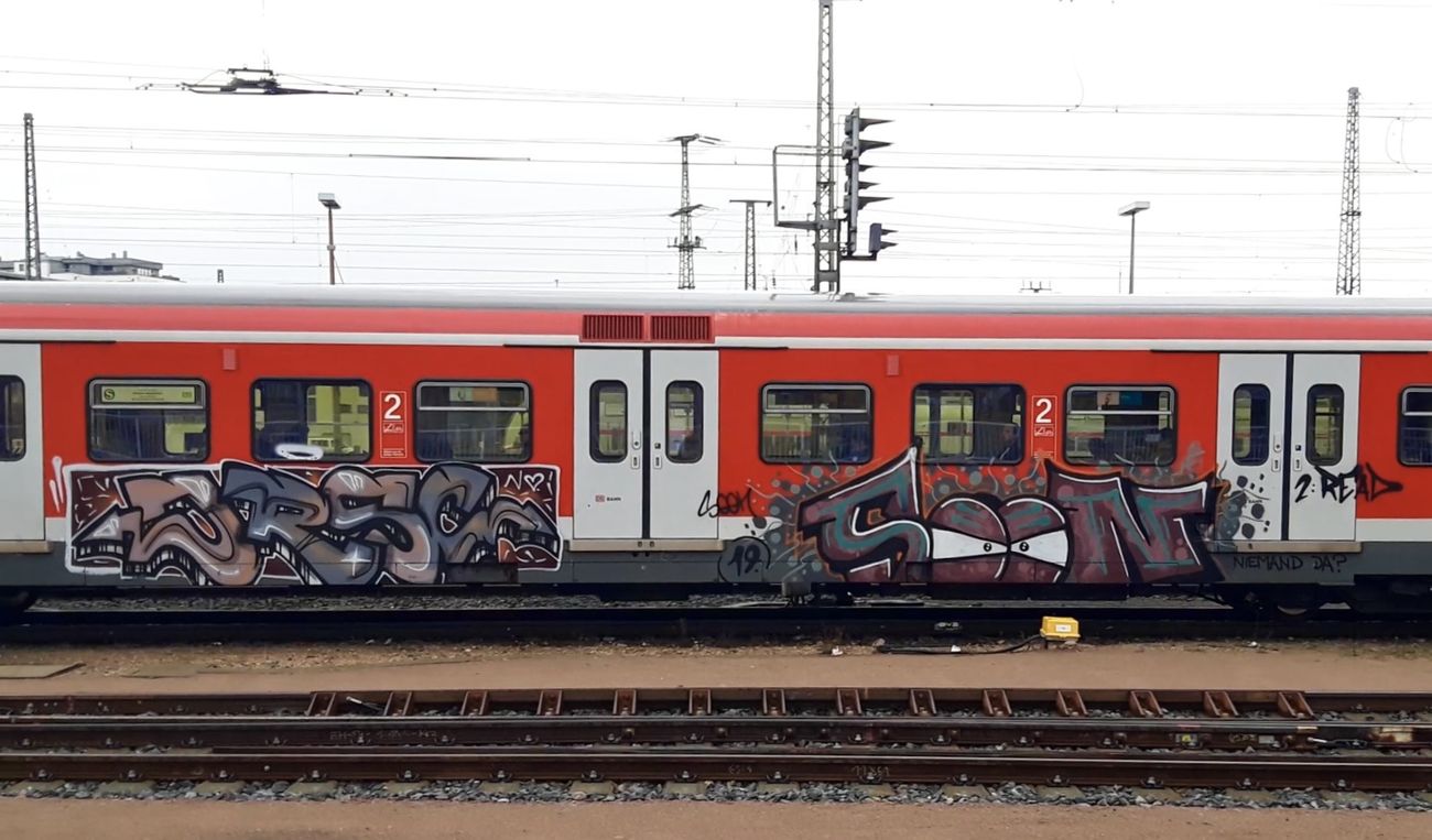 Photo #247464 by MrTaube