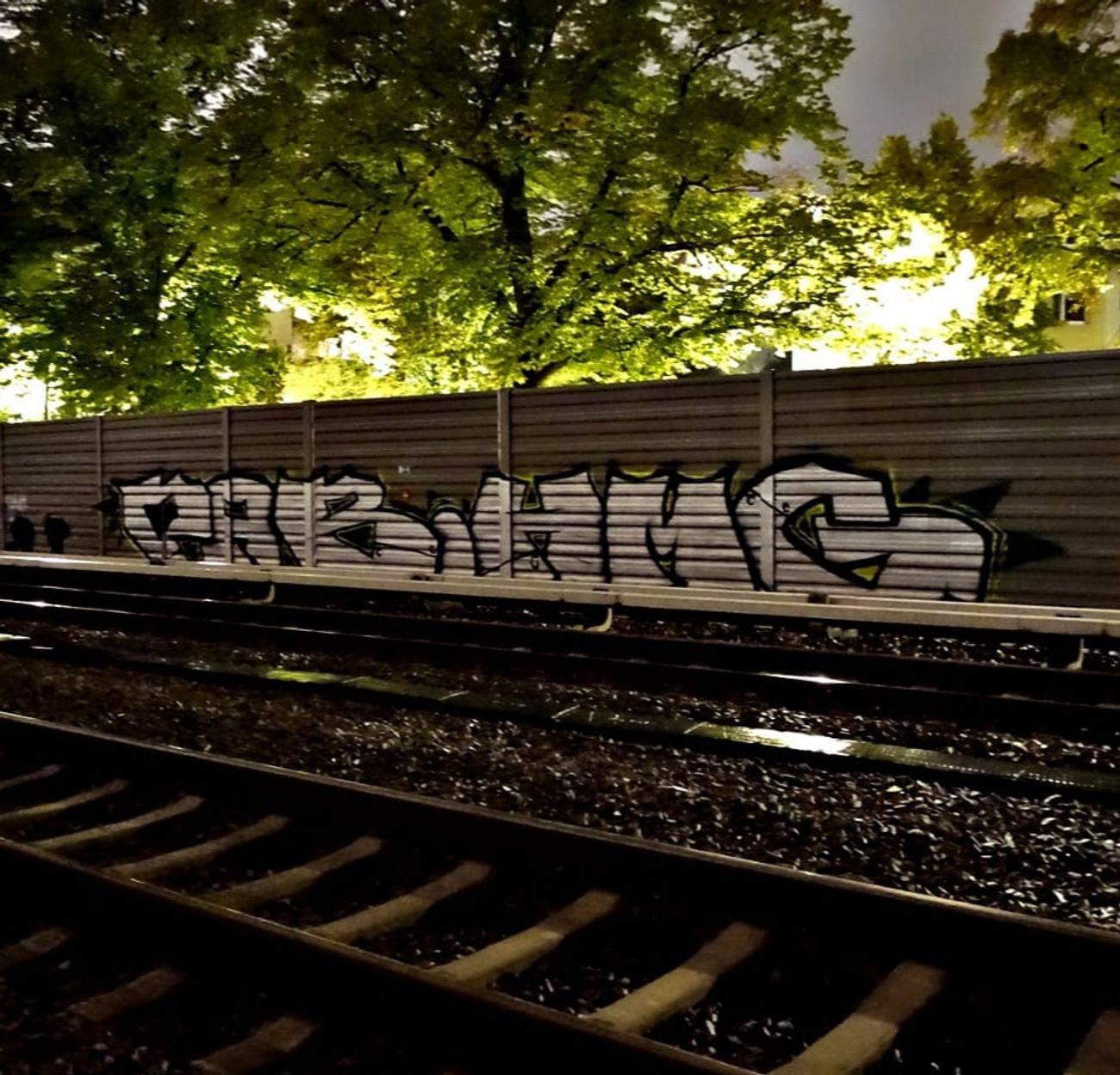 Photo #245861 by N0NAME