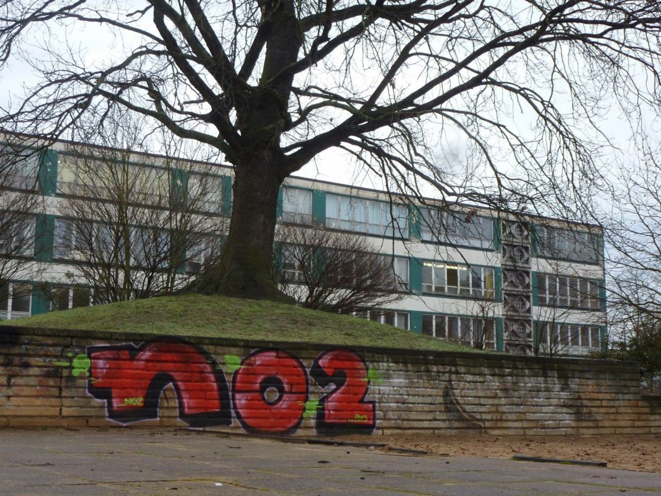 Photo #147303 by NOIIO3