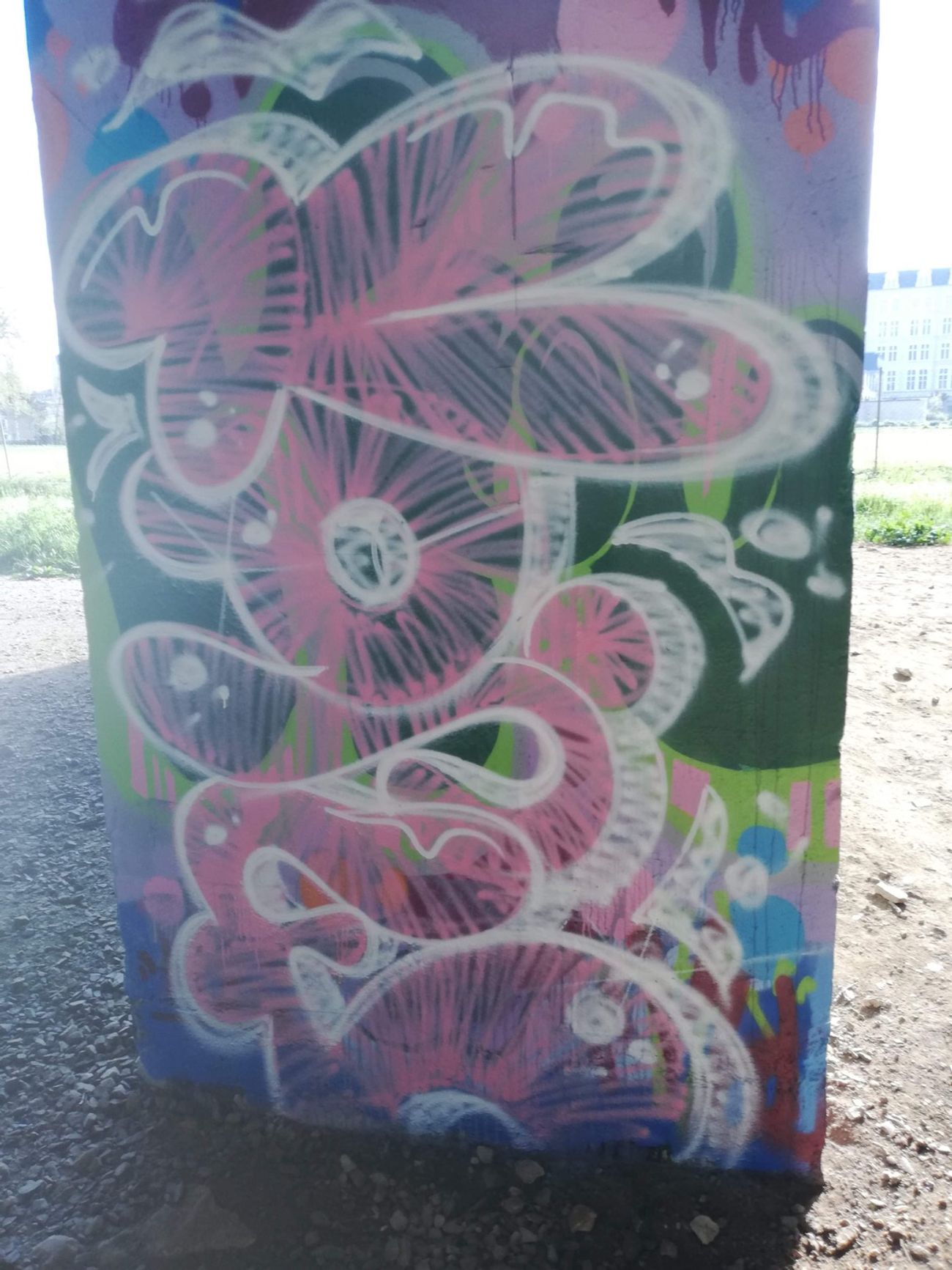 Photo #247147 by NevansoN