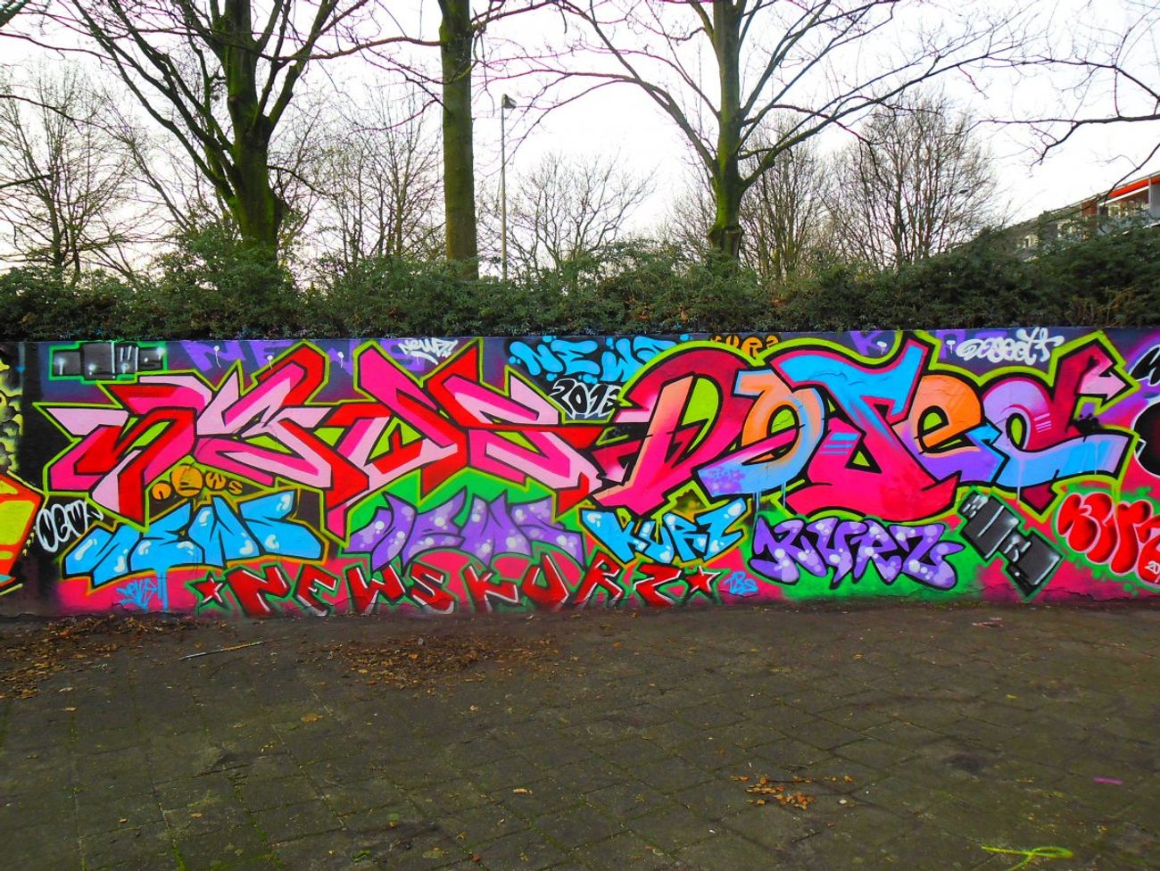 Photo #66094 by Newsu