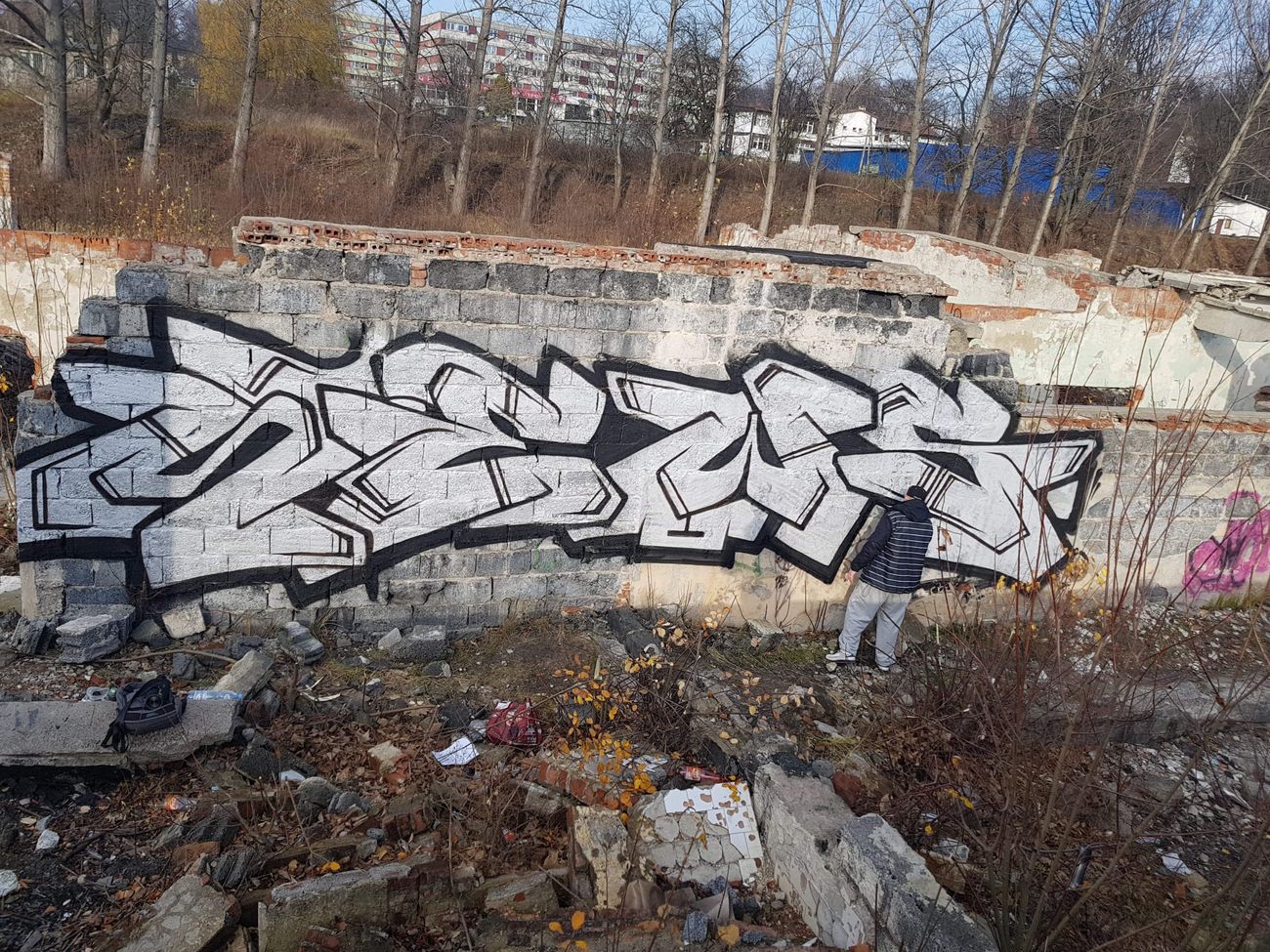 Photo #246390 by Newsu