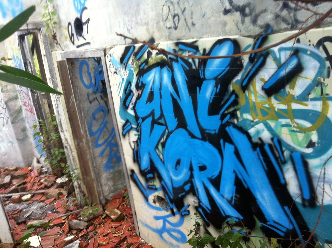 Photo #182298 by Pincho1