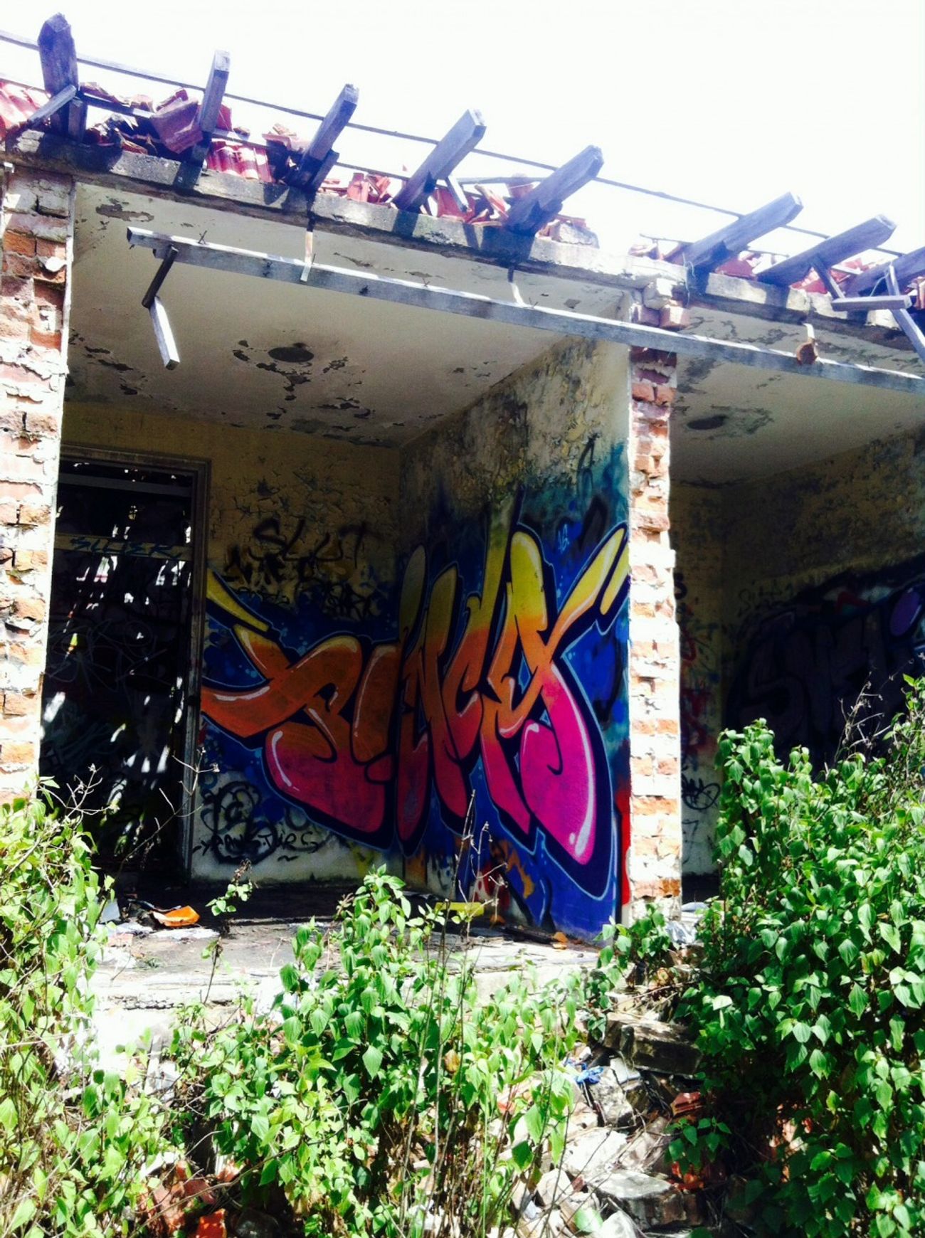 Photo #182296 by Pincho1