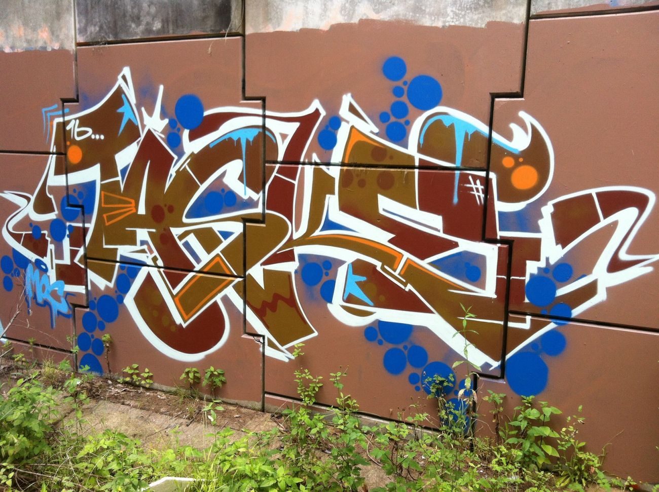 Photo #199226 by Pincho1