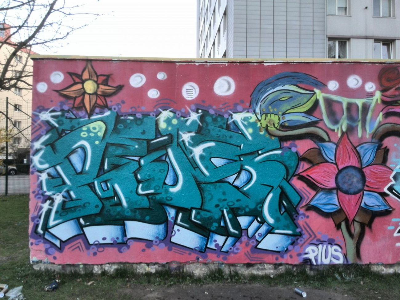Photo #82532 by Pius