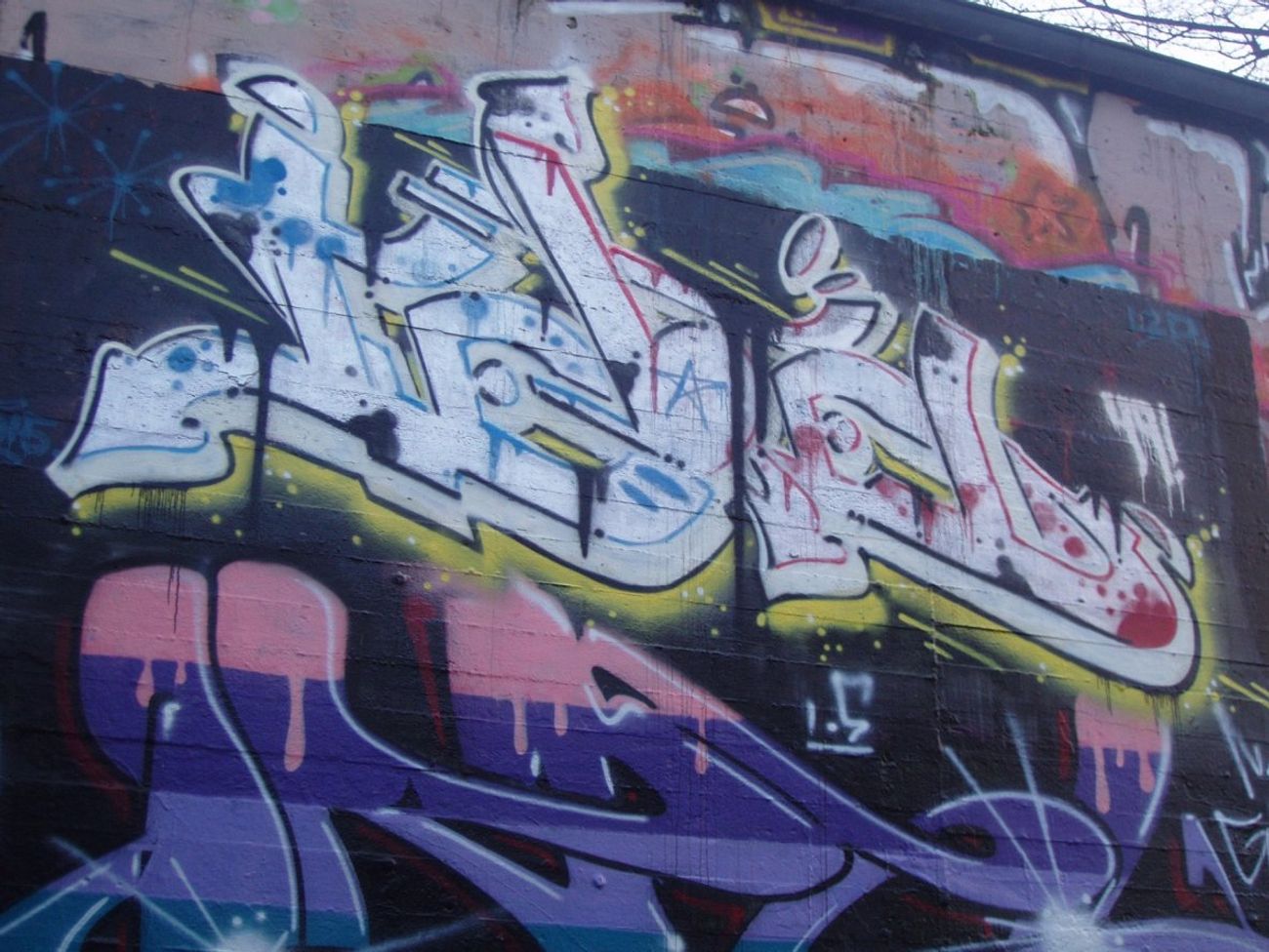 Photo #141847 by REBEL49