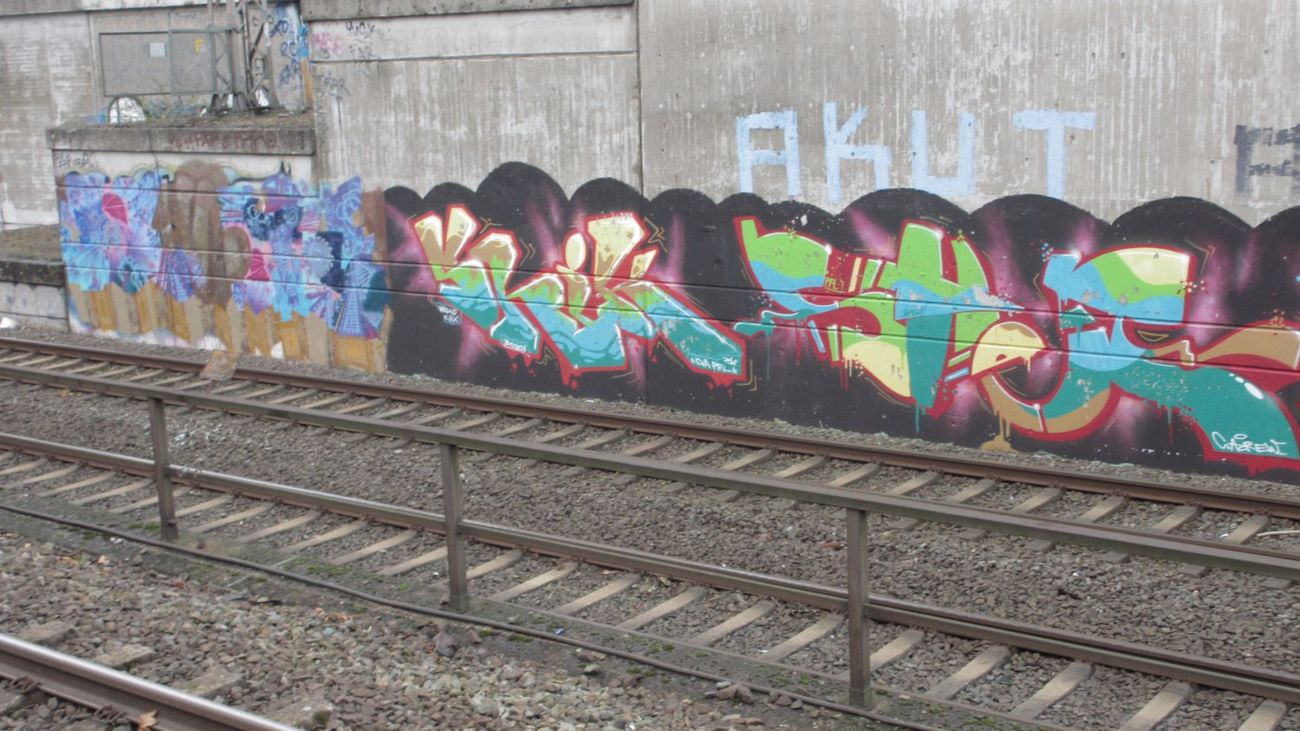 Photo #48529 by RORO