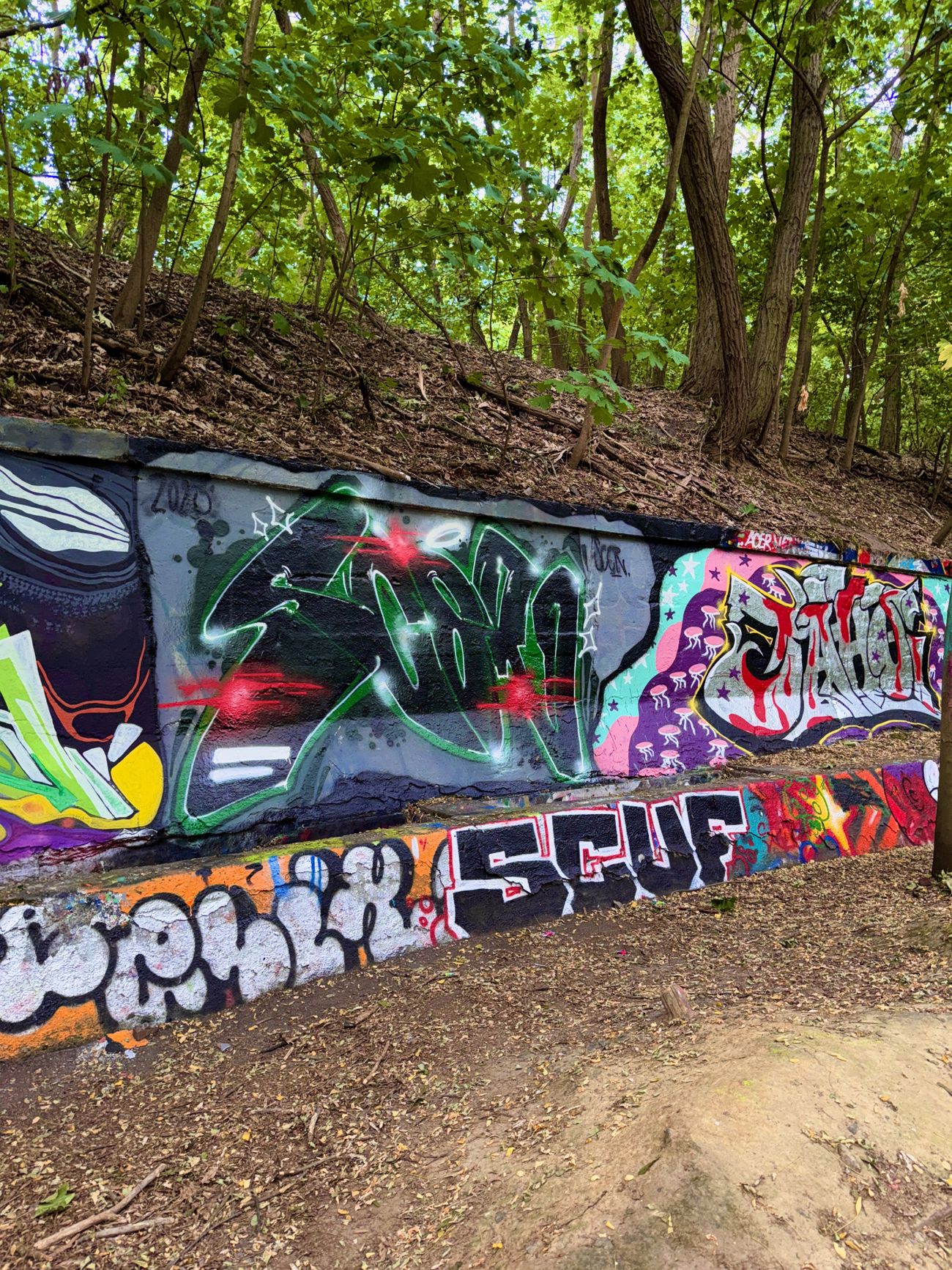 Photo #245690 by SCER