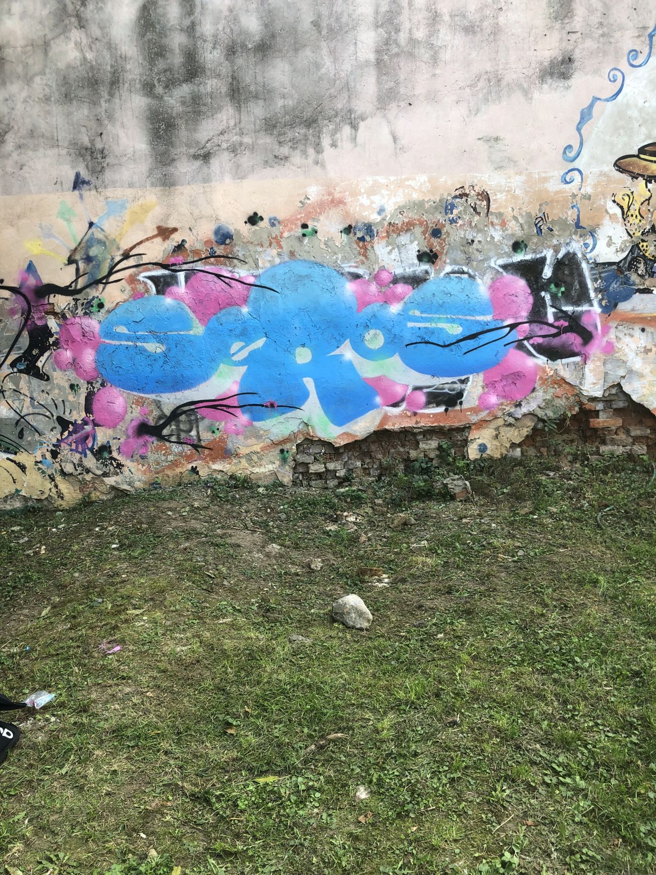 Photo #247400 by SEROS