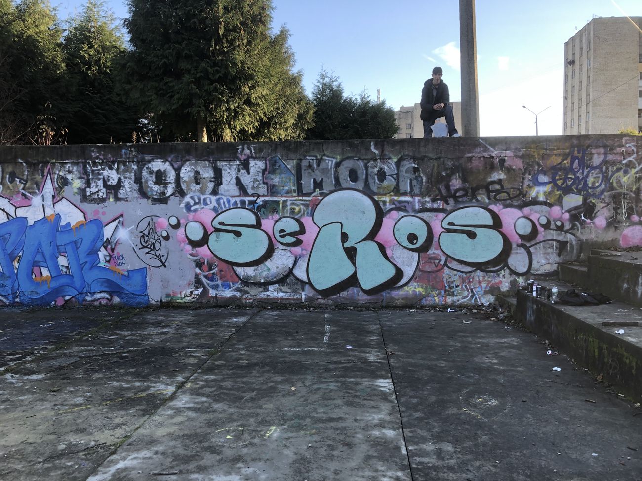 Photo #247399 by SEROS