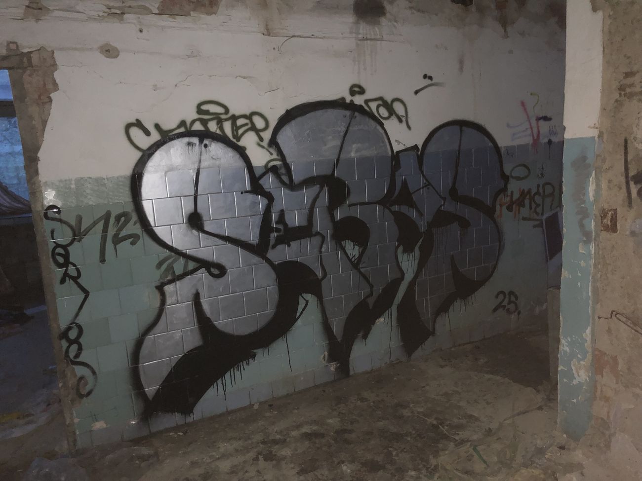 Photo #245736 by SEROS