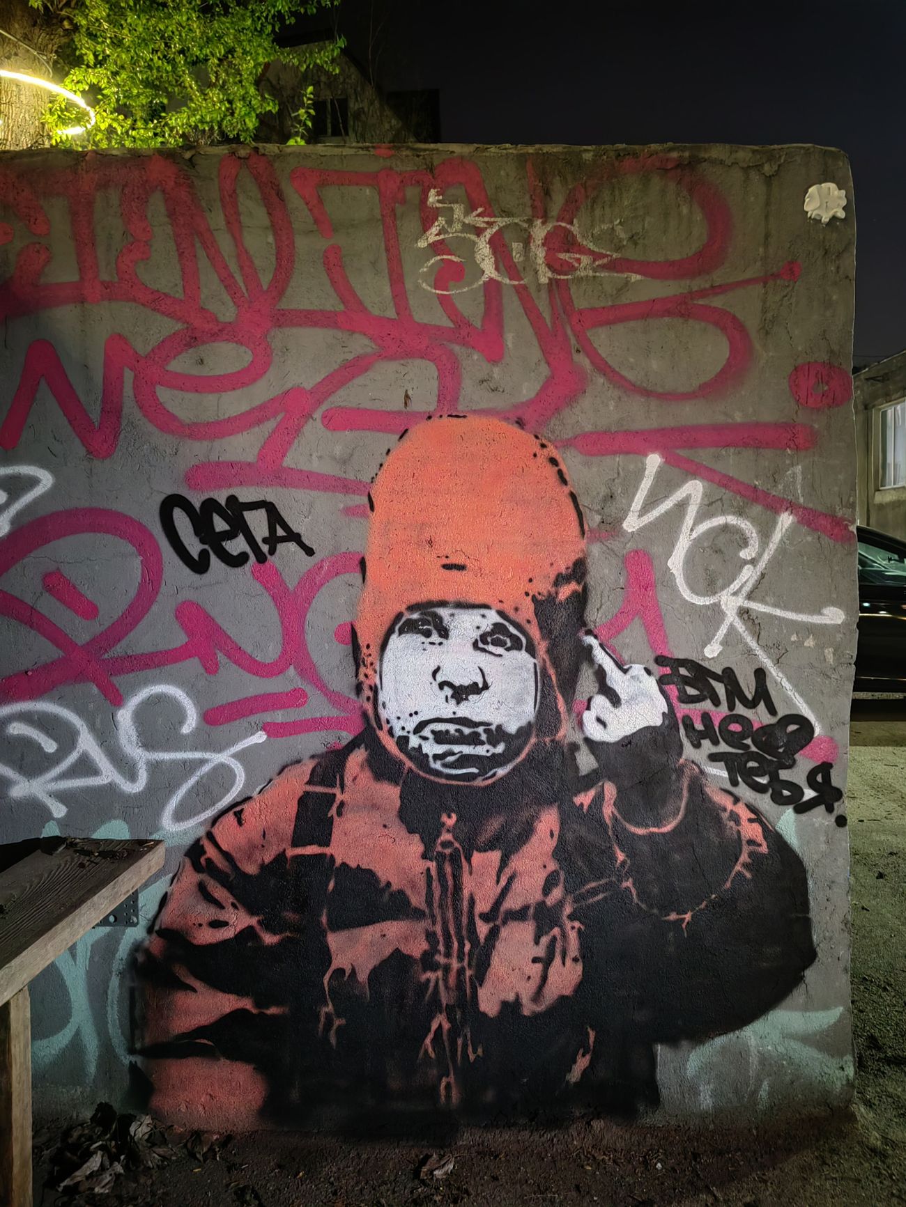 Photo #246328 by SegaBoheme