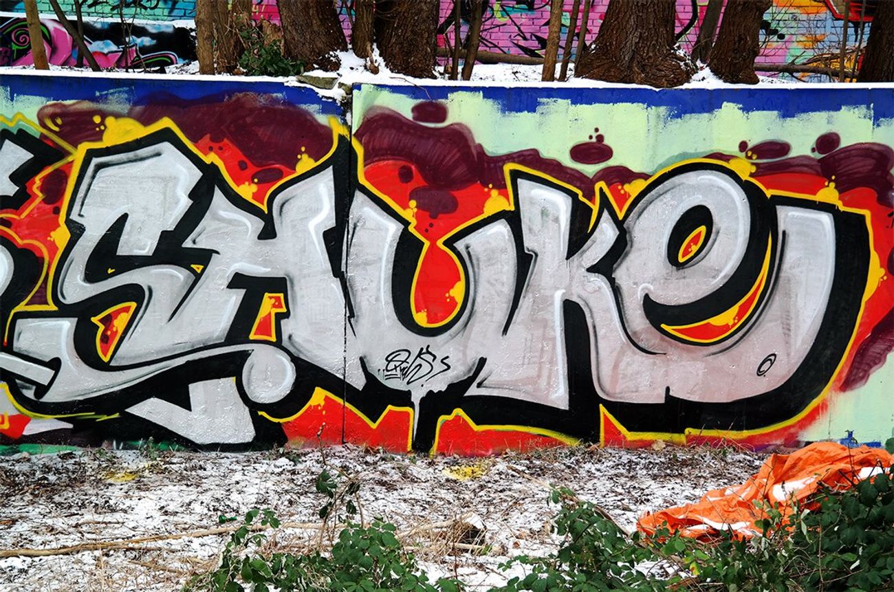 Photo #68334 by Shuke