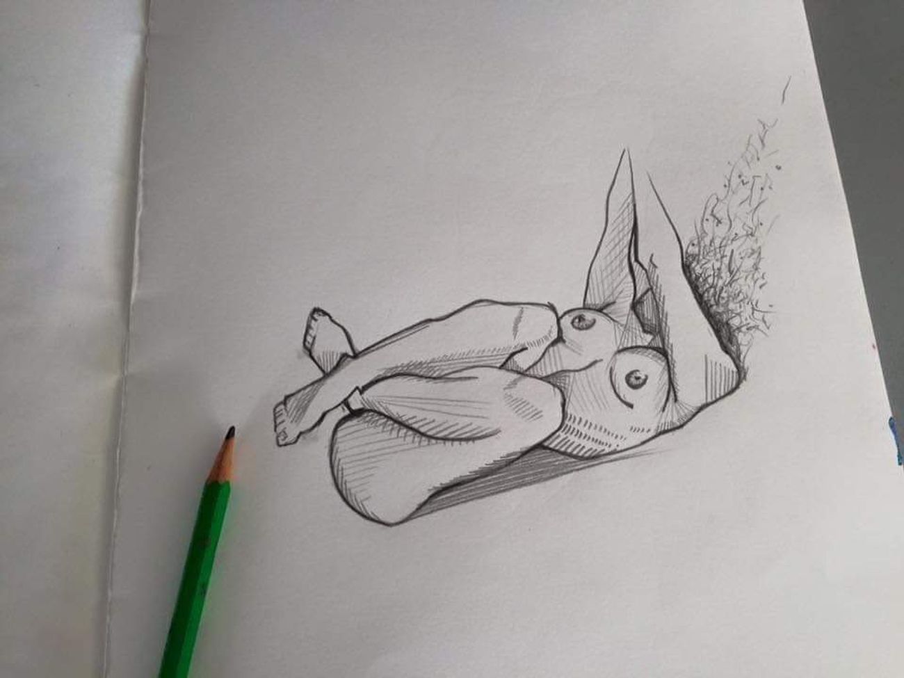 Photo #227019 by Sollo52