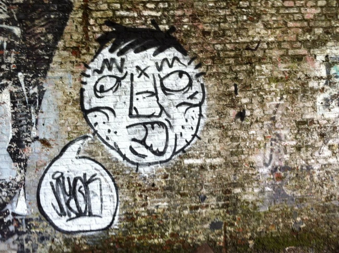 Photo #34117 by TEUF