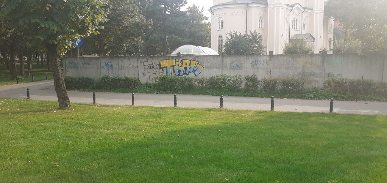 Photo #236350 by TRAM1