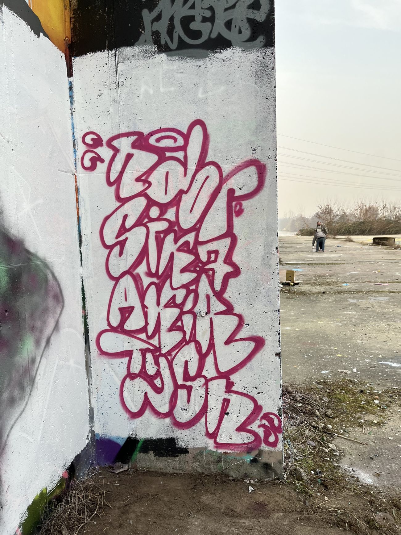 Photo #245223 by Tysn
