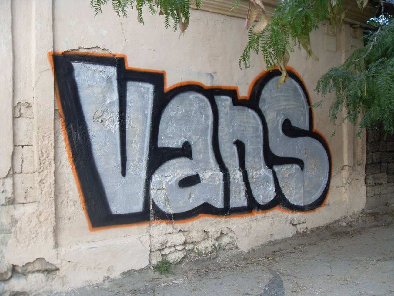 Photo #39493 by Vans