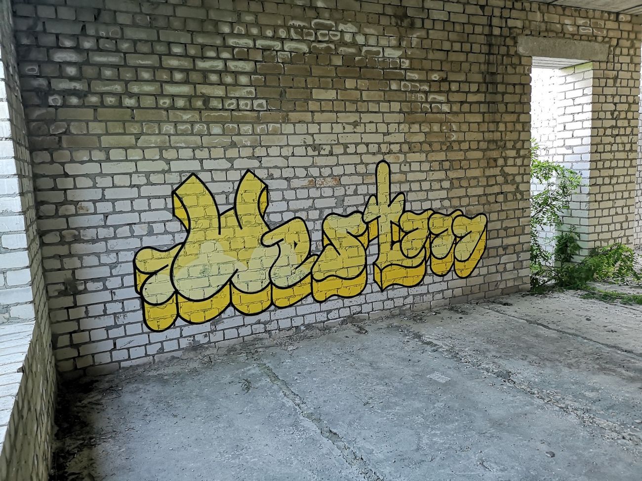 Photo #233143 by West