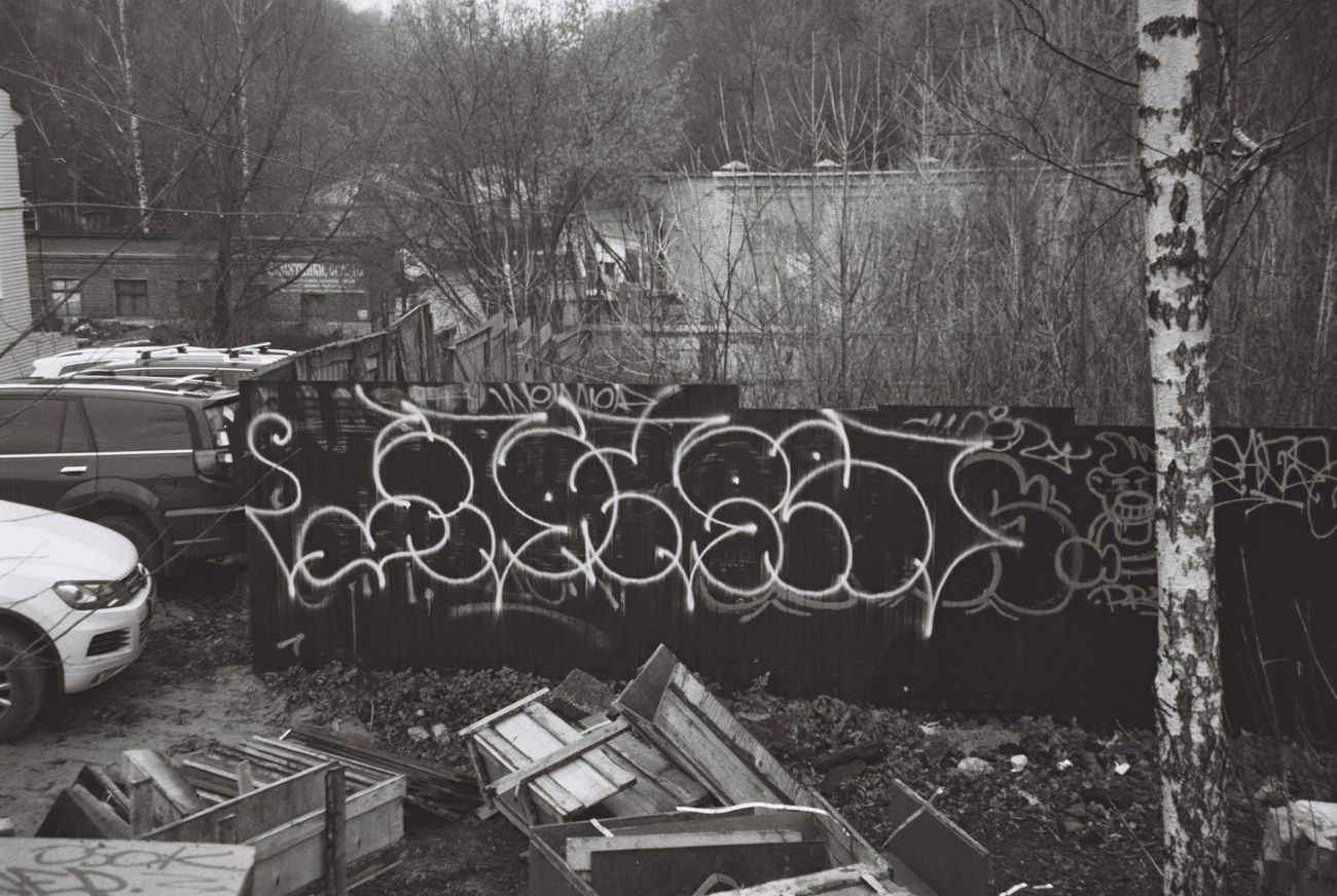 Photo #235468 by Wozer1