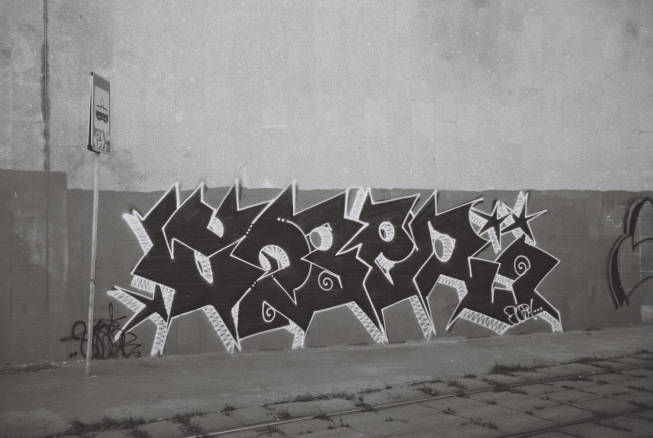 Photo #235467 by Wozer1