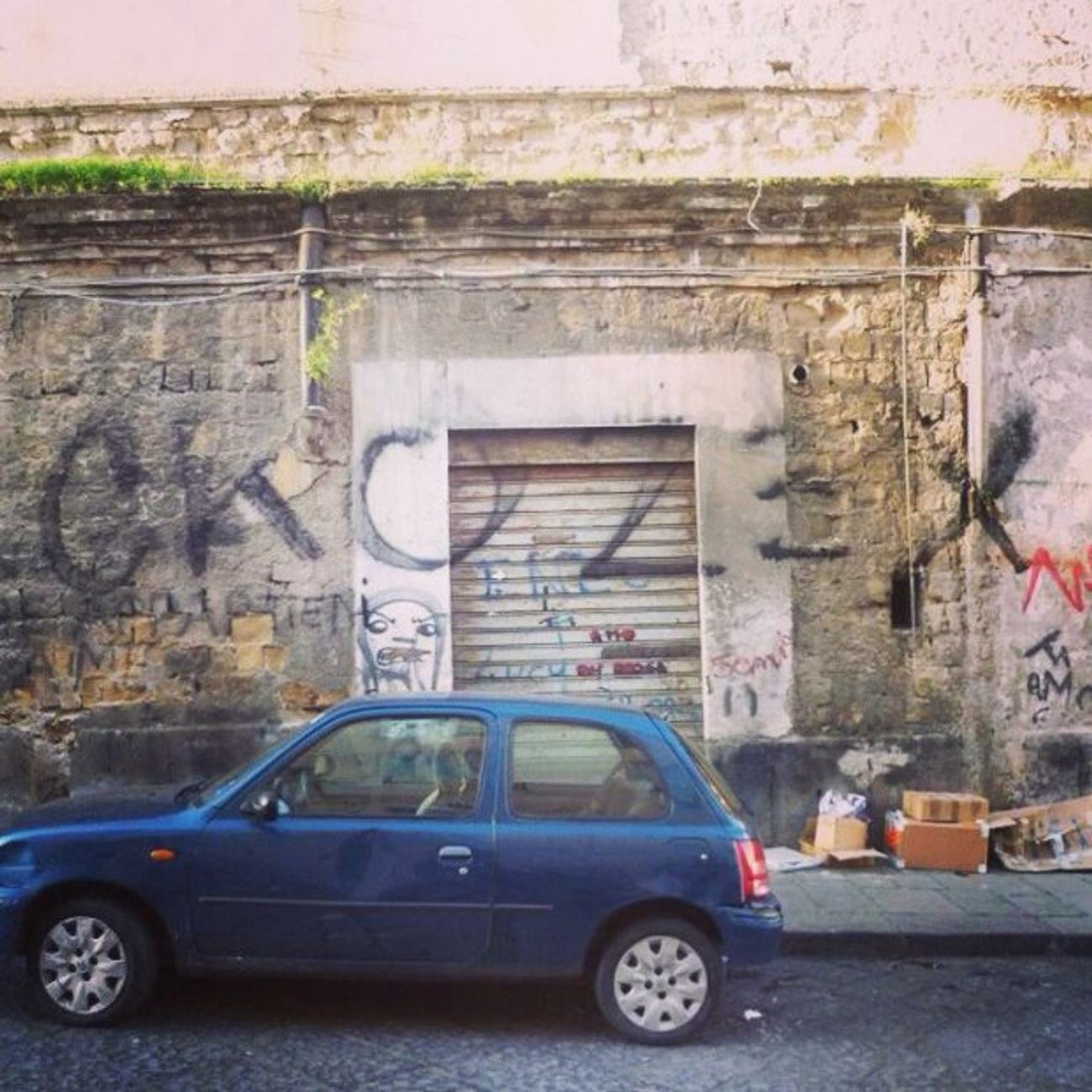 Photo #81790 by ZEX