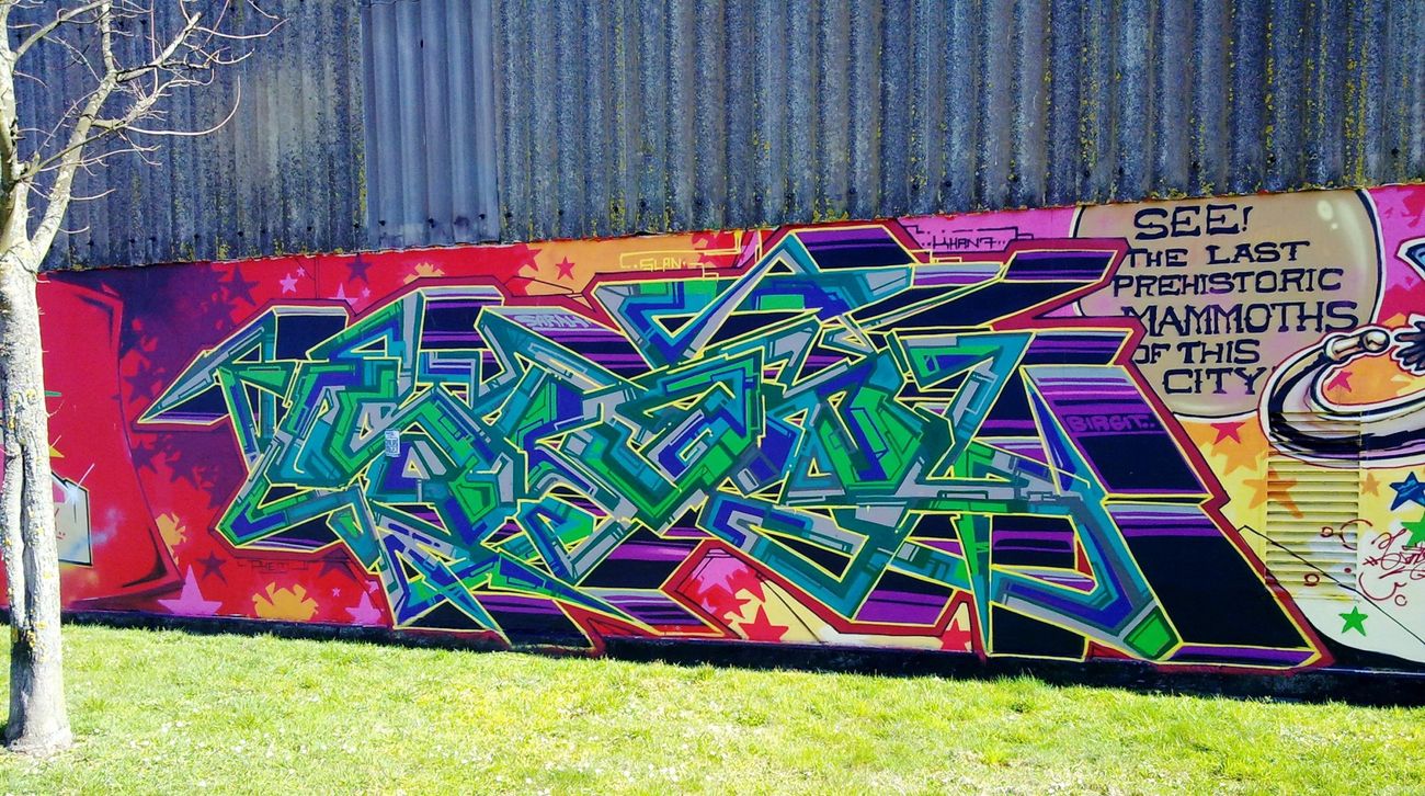 Photo #185281 by ZUGZWANG