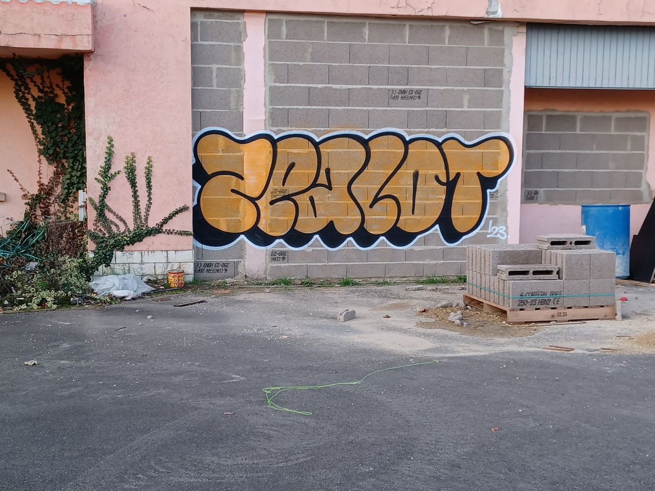 Photo #239818 by ZeroGraffiti