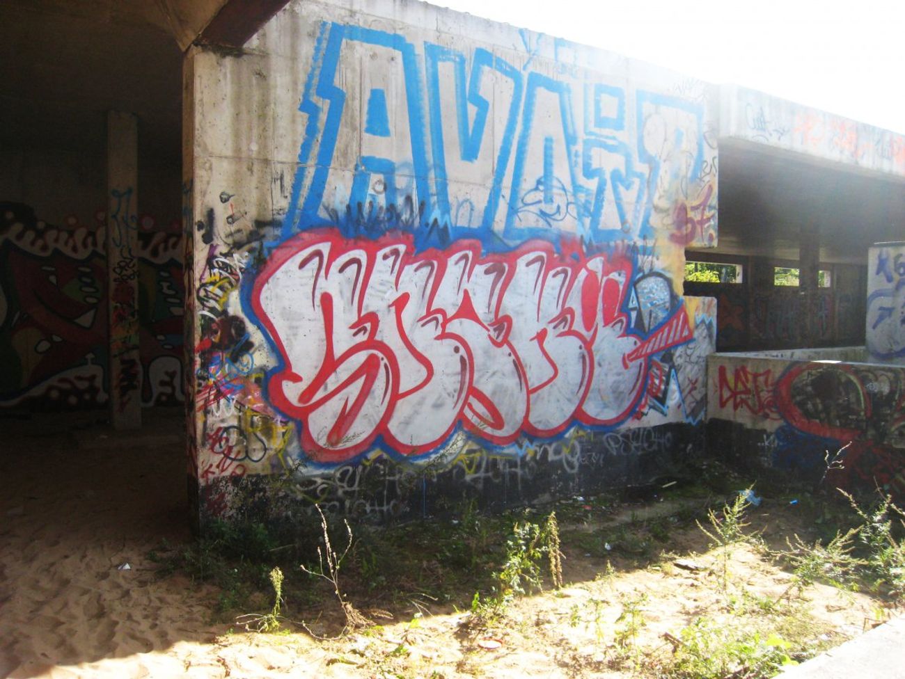 Photo #95596 by adixxx
