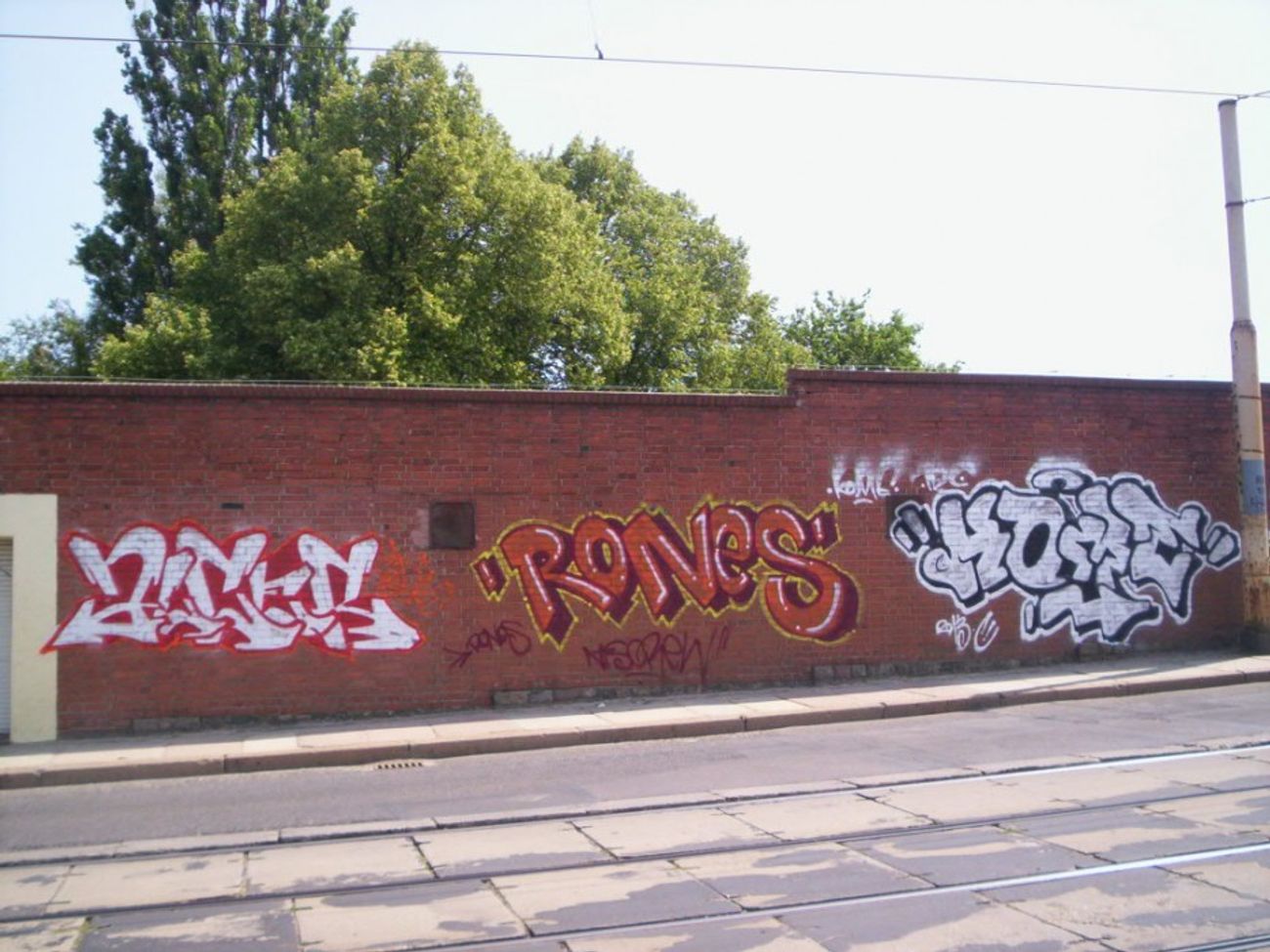 Photo #5725 by alcer