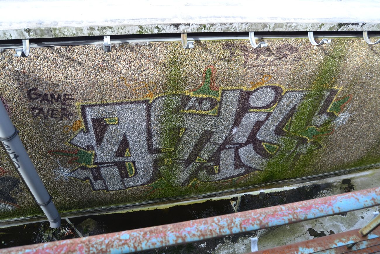 Photo #244539 by bergischbunt