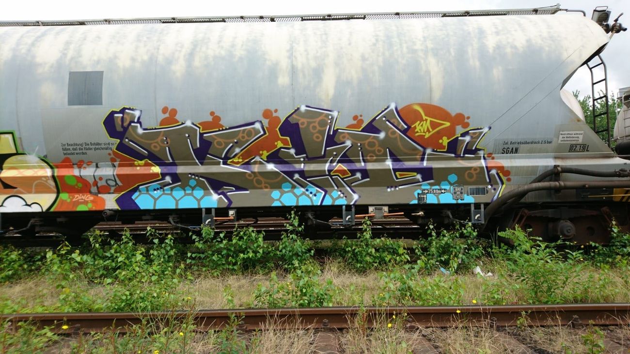 Photo #223053 by bocat