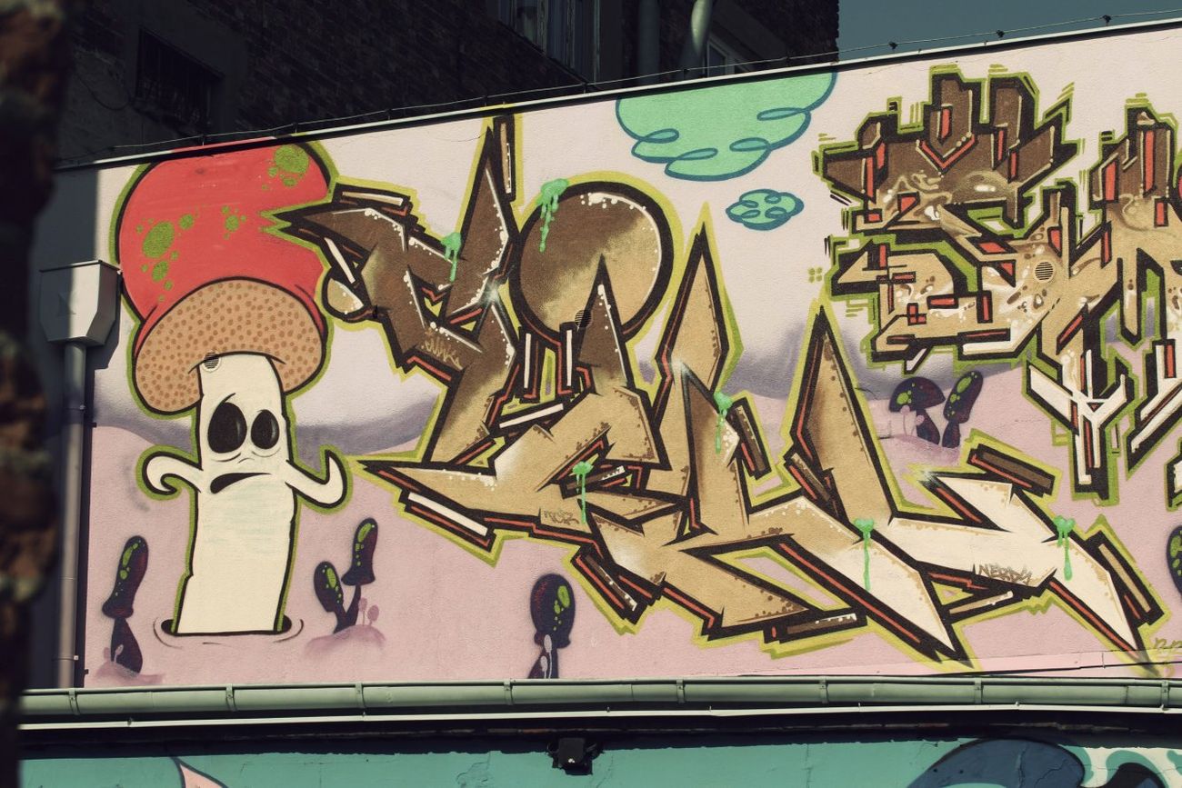 Photo #61365 by ciklone