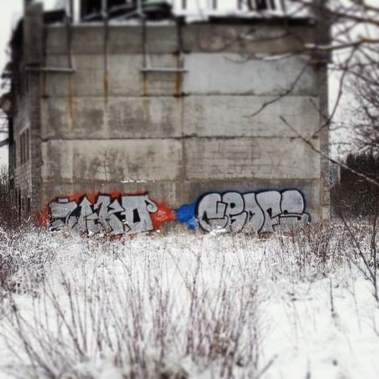 Photo #65223 by crofs