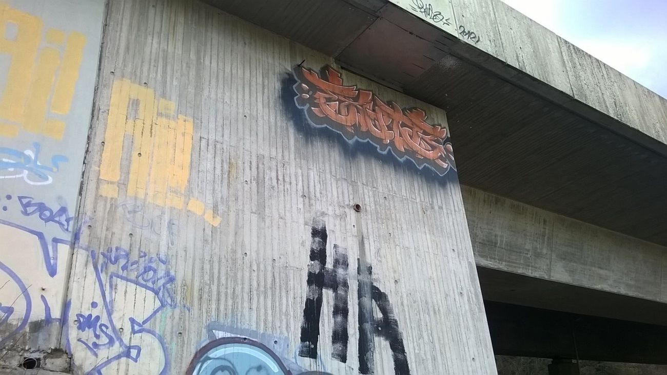 Photo #140085 by deinemudda
