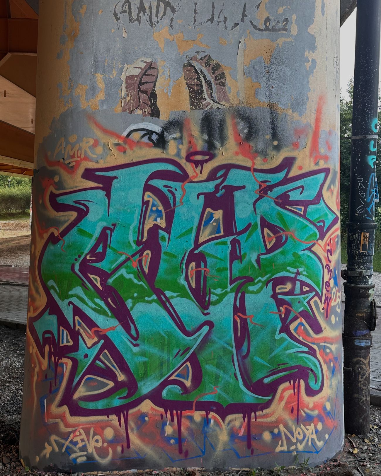 Photo #246969 by dirtistajl