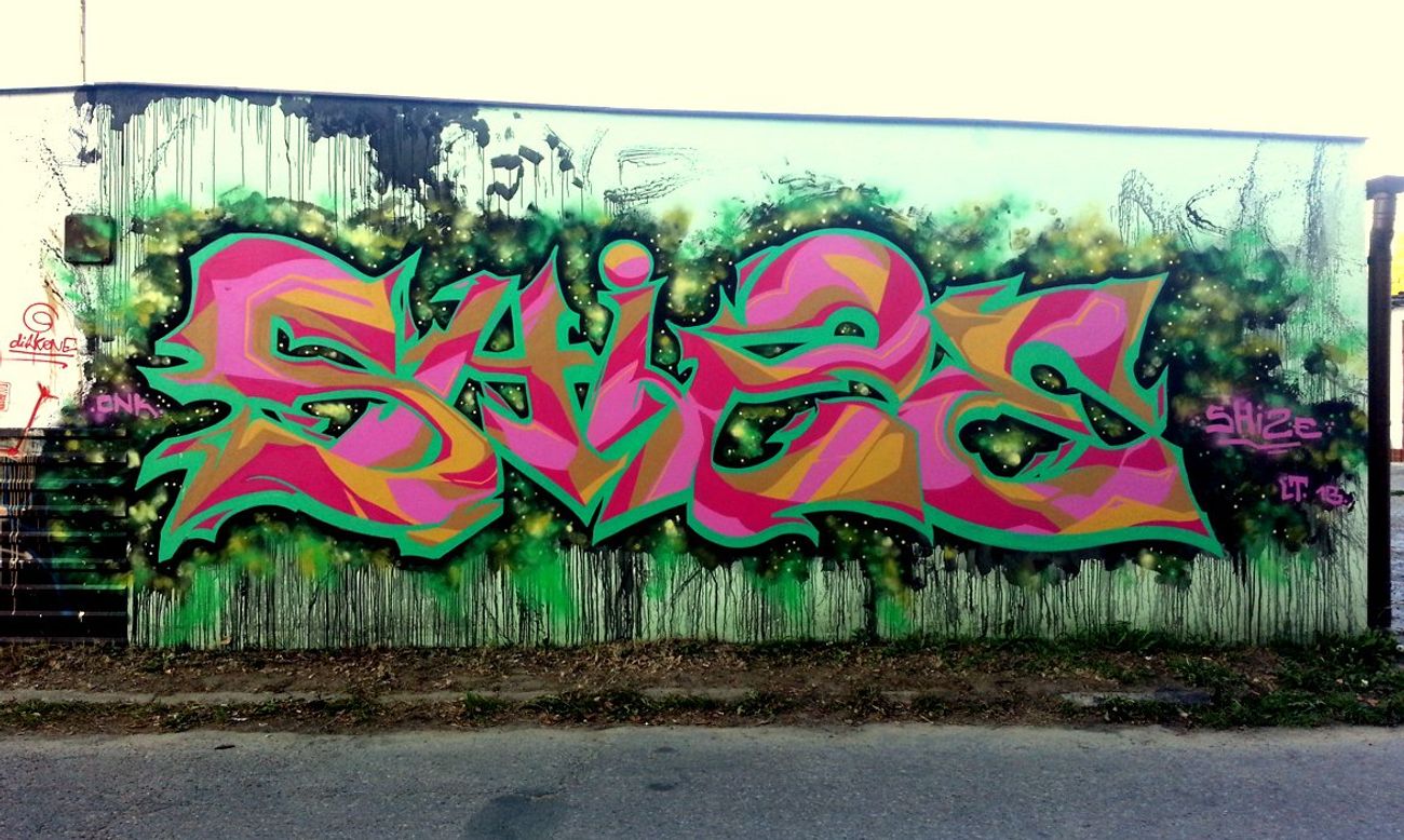 Photo #41054 by dirtyfingaz