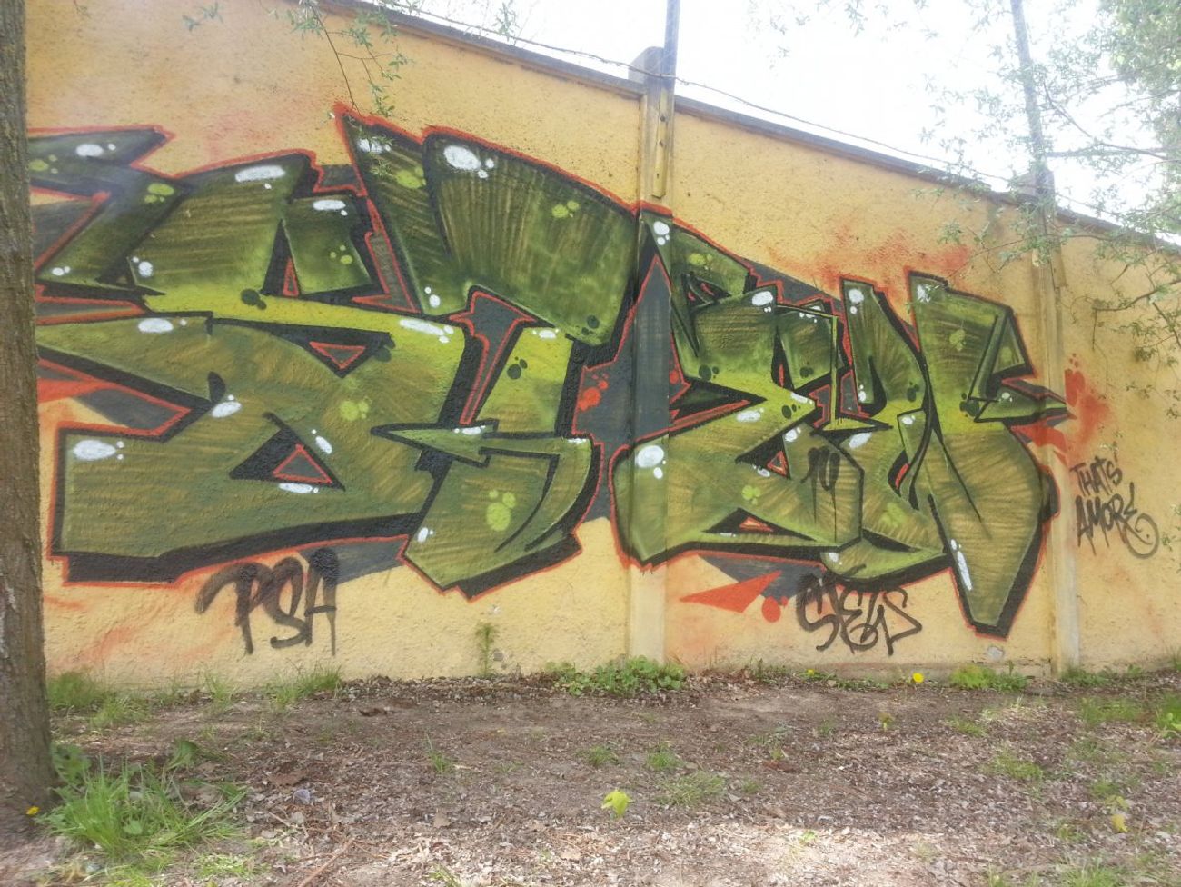 Photo #89823 by dumberone
