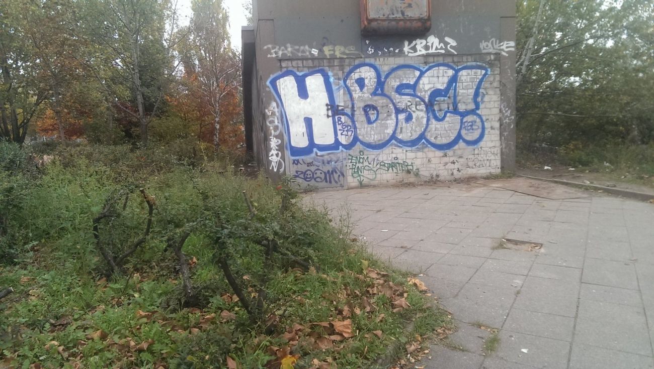 Photo #129207 by gartenzwerg