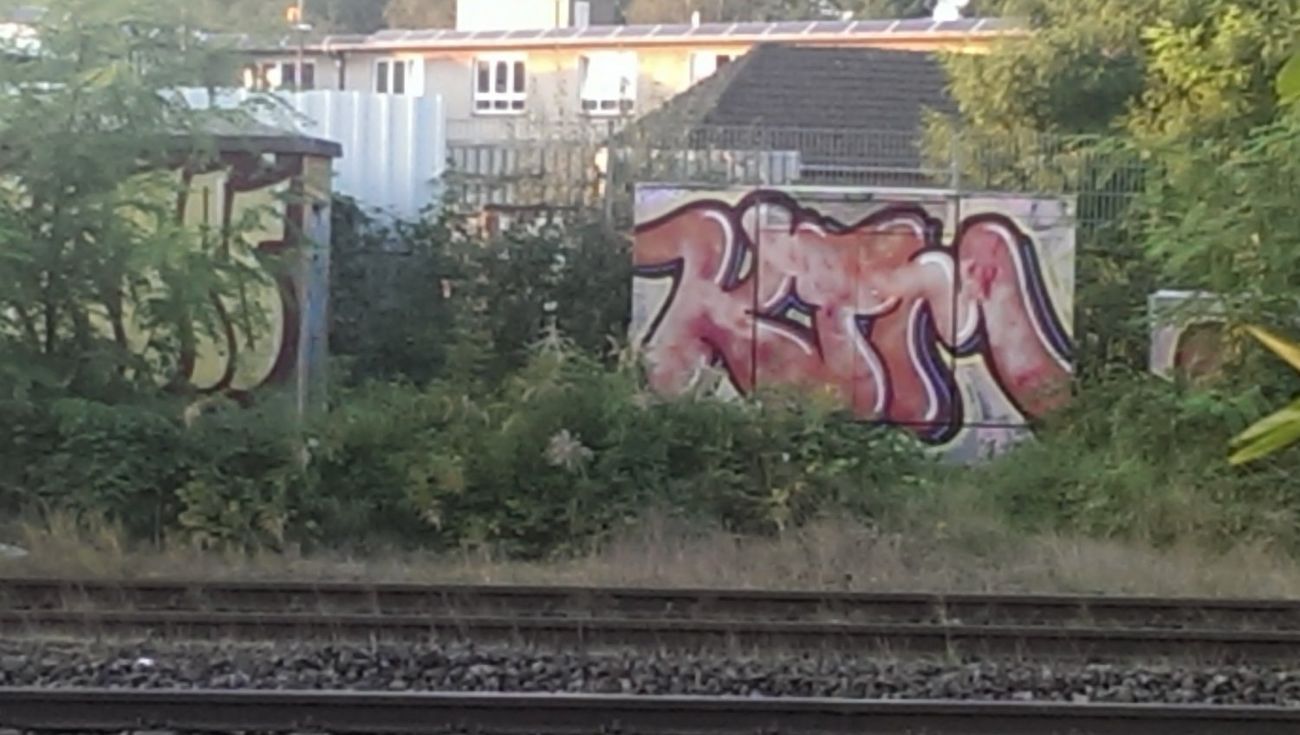 Photo #126196 by gartenzwerg
