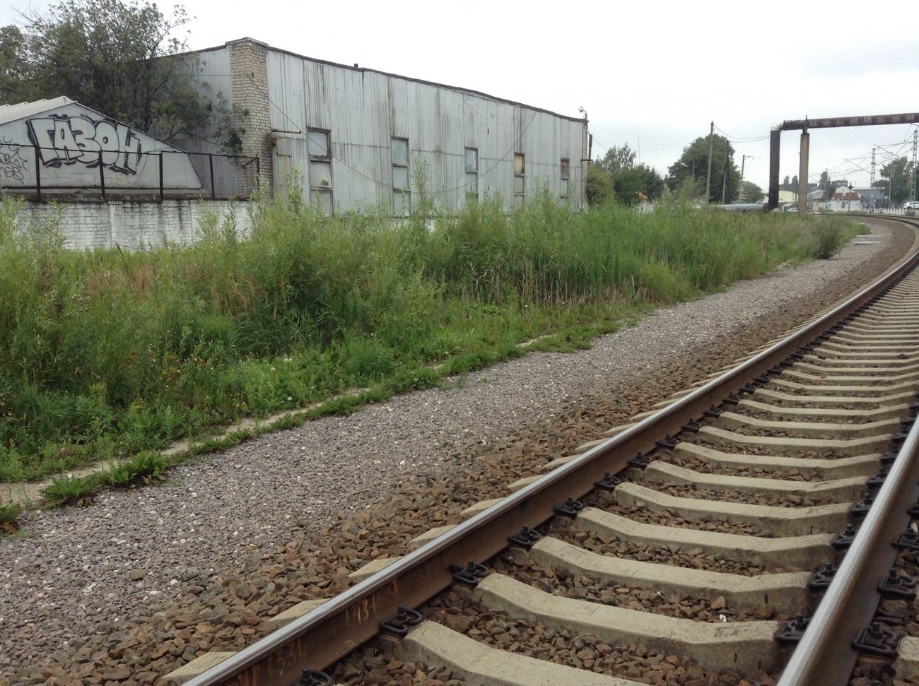 Photo #193305 by gazon1