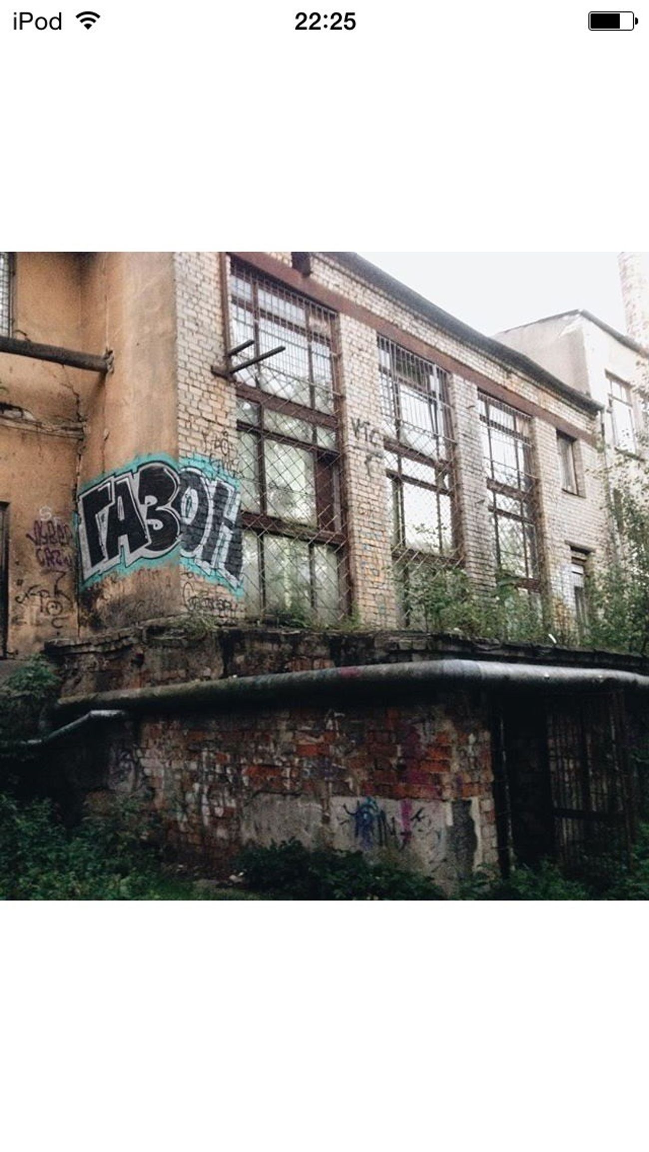 Photo #193306 by gazon1