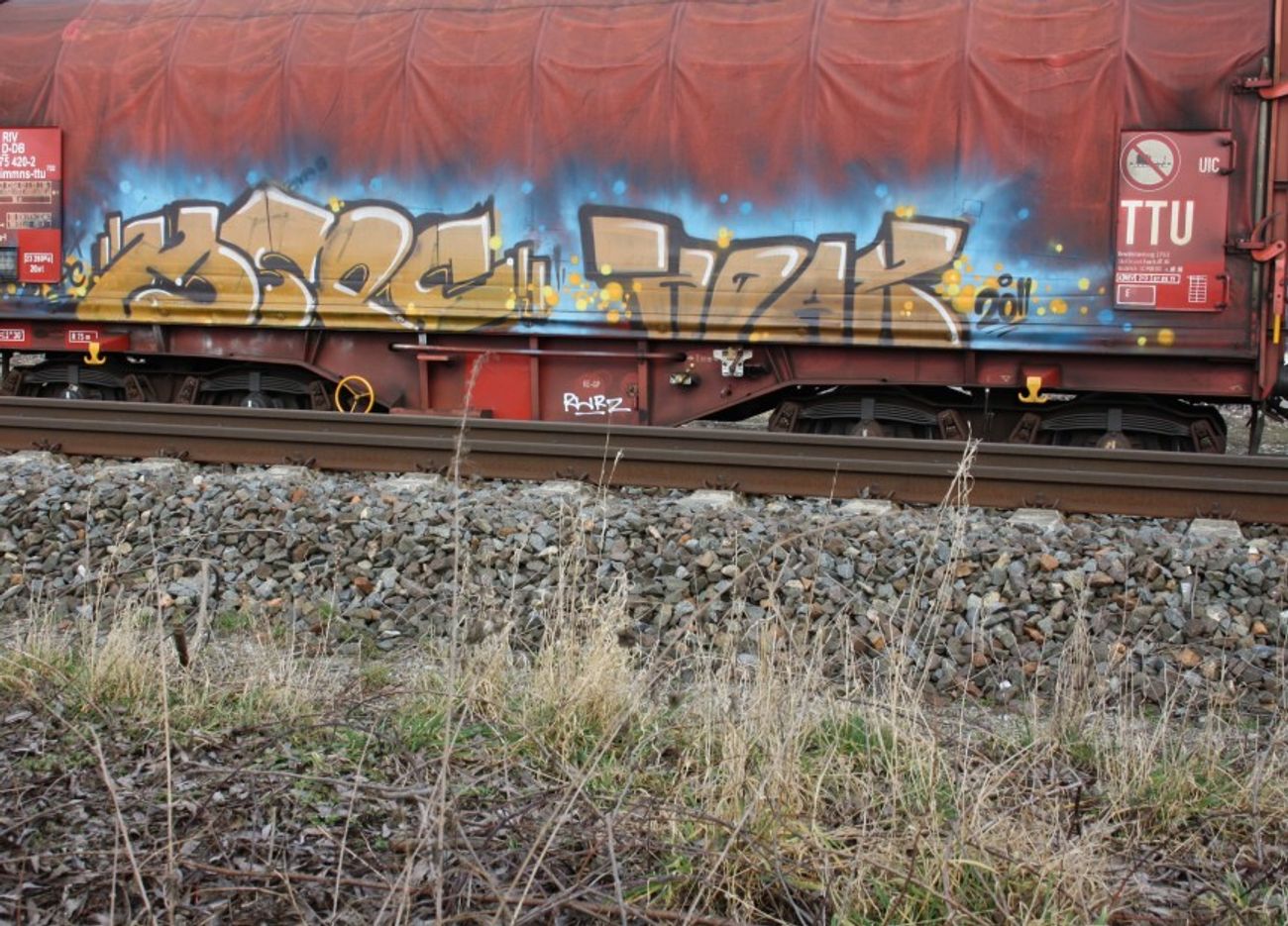 Photo #27040 by geracity