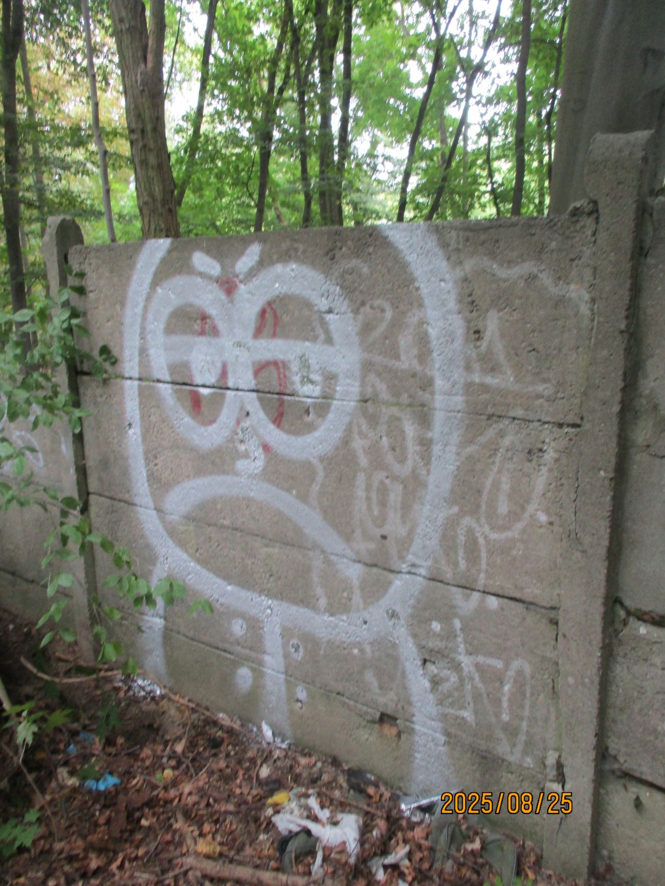 Photo #246145 by inspektoruchu