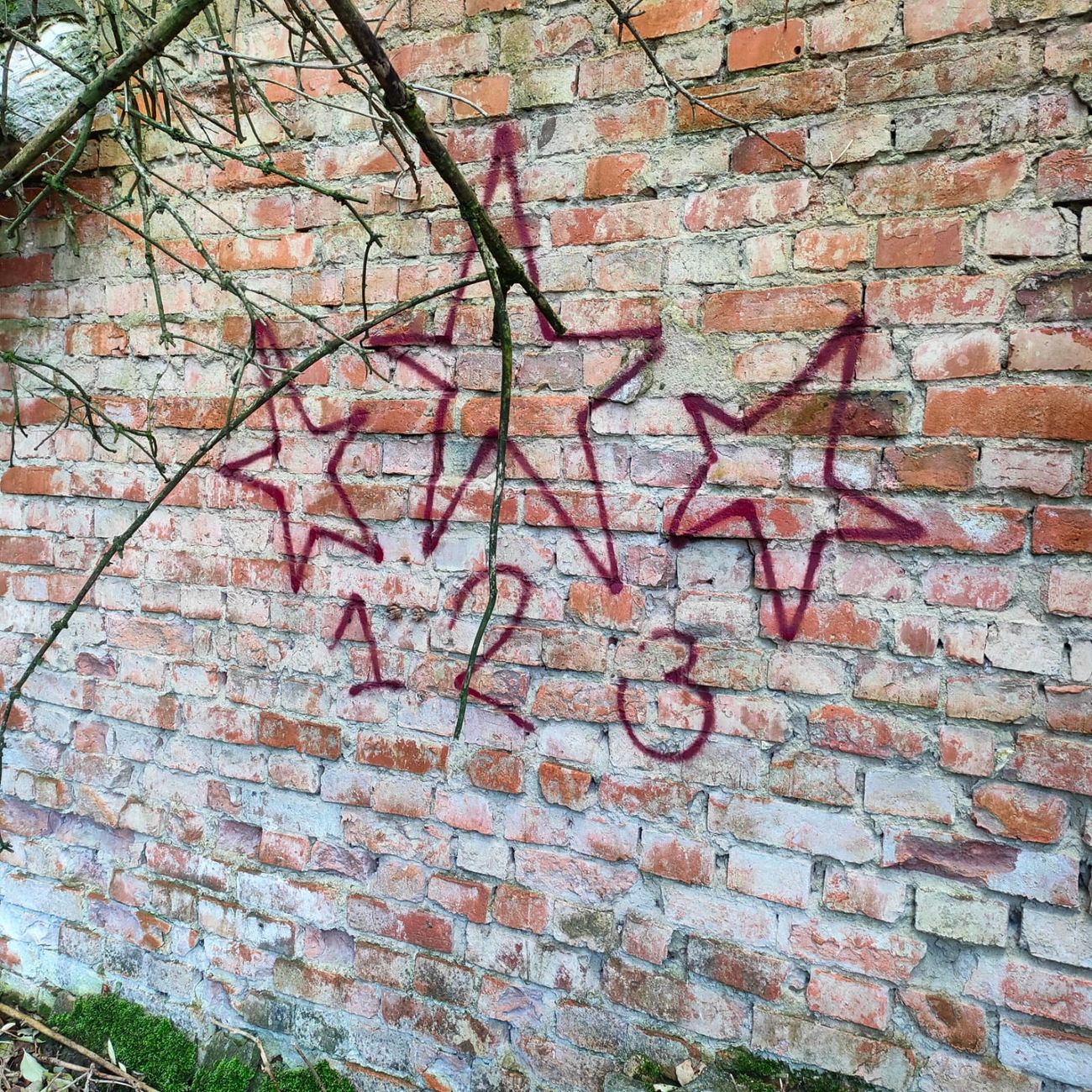 Photo #247063 by inspektoruchu