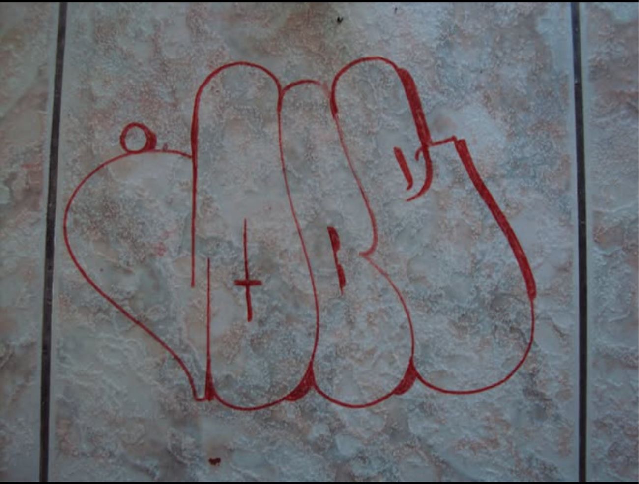 Photo #247570 by iobe1